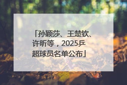 孙颖莎、王楚钦、许昕等，2025乒超球员名单公布