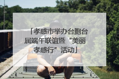 孝感市举办台胞台属端午联谊暨“美丽孝感行”活动