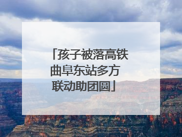 孩子被落高铁 曲阜东站多方联动助团圆