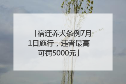 宿迁养犬条例7月1日施行，违者最高可罚5000元