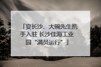 宴长沙、大碗先生携手入驻 长沙佳海工业园“满员运行”