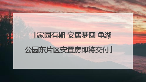 家园有期 安居梦圆 龟湖公园东片区安置房即将交付