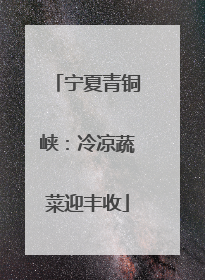 宁夏青铜峡：冷凉蔬菜迎丰收