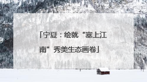 宁夏：绘就“塞上江南”秀美生态画卷