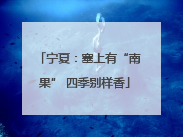 宁夏：塞上有“南果” 四季别样香