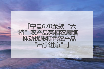 宁夏670余款“六特”农产品亮相农展馆 推动优质特色农产品“出宁进京”