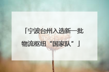 宁波台州入选新一批物流枢纽“国家队”
