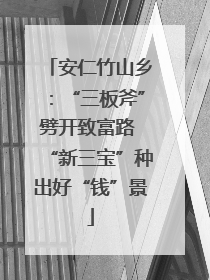 安仁竹山乡：“三板斧”劈开致富路 “新三宝”种出好“钱”景