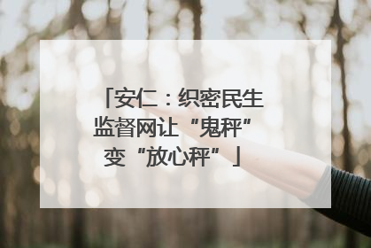 安仁：织密民生监督网让“鬼秤”变“放心秤”