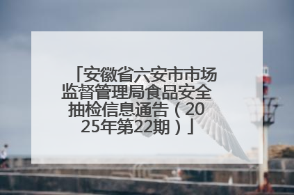 安徽省六安市市场监督管理局食品安全抽检信息通告（2025年第22期）