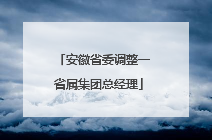 安徽省委调整一省属集团总经理