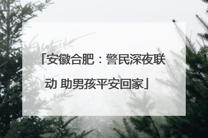 安徽合肥：警民深夜联动 助男孩平安回家