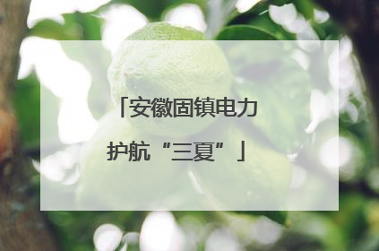 安徽固镇电力护航“三夏”