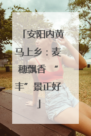 安阳内黄马上乡：麦穗飘香 “丰”景正好