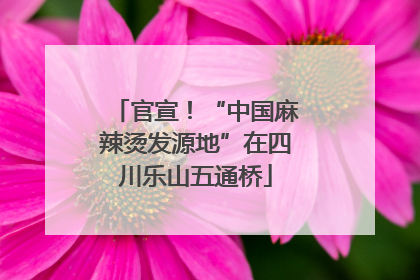 官宣！“中国麻辣烫发源地”在四川乐山五通桥