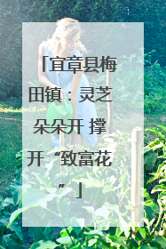 宜章县梅田镇：灵芝朵朵开 撑开“致富花”