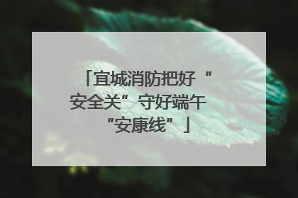 宜城消防把好“安全关”守好端午“安康线”