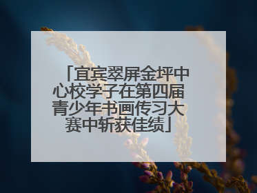 宜宾翠屏金坪中心校学子在第四届青少年书画传习大赛中斩获佳绩
