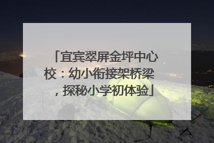 宜宾翠屏金坪中心校：幼小衔接架桥梁，探秘小学初体验
