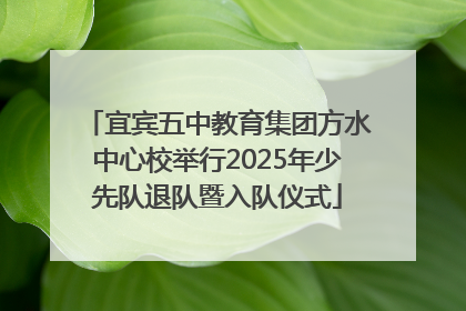 宜宾五中教育集团方水中心校举行2025年少先队退队暨入队仪式