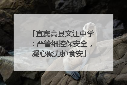 宜宾高县文江中学：严管细控保安全，凝心聚力护食安