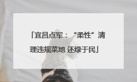 宜昌点军：“柔性”清理违规菜地 还绿于民