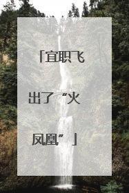 宜职飞出了“火凤凰”
