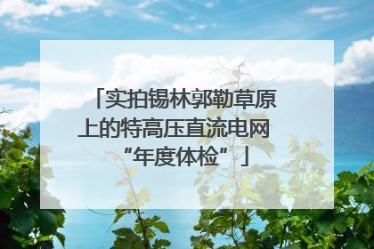 实拍锡林郭勒草原上的特高压直流电网“年度体检”