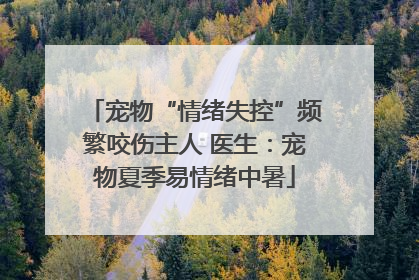 宠物“情绪失控”频繁咬伤主人 医生：宠物夏季易情绪中暑