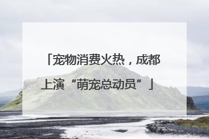 宠物消费火热，成都上演“萌宠总动员”