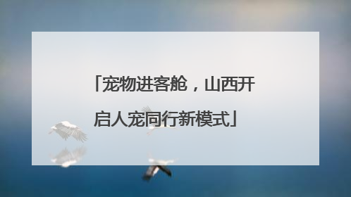 宠物进客舱，山西开启人宠同行新模式