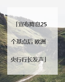 宣布降息25个基点后 欧洲央行行长发声