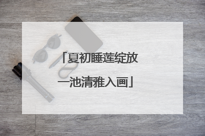 夏初睡莲绽放 一池清雅入画