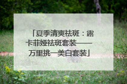 夏季清爽祛斑：露卡菲娅祛斑套装——万里挑一美白套装