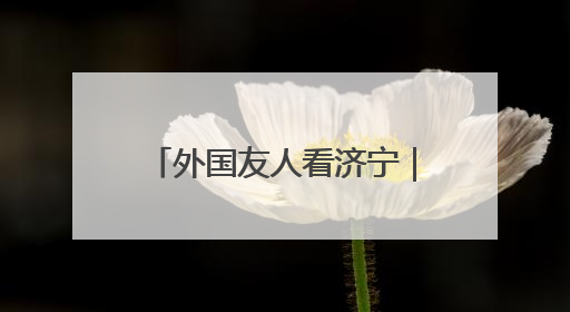 外国友人看济宁｜38位外国嘉宾共赴曲阜“文化之约”