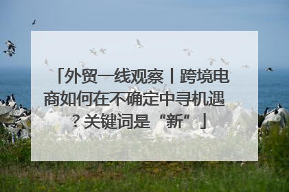 外贸一线观察丨跨境电商如何在不确定中寻机遇？关键词是“新”