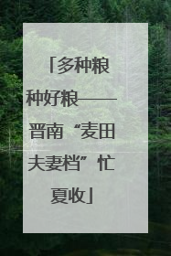 多种粮 种好粮——晋南“麦田夫妻档”忙夏收