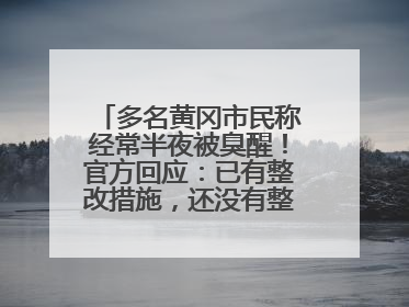 多名黄冈市民称经常半夜被臭醒！官方回应：已有整改措施，还没有整改情况