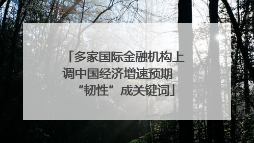 多家国际金融机构上调中国经济增速预期 “韧性”成关键词