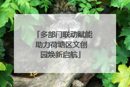 多部门联动赋能 助力荷塘区文创园焕新启航