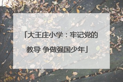大王庄小学：牢记党的教导 争做强国少年