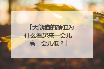 大熊猫的颜值为什么看起来一会儿高一会儿低？
