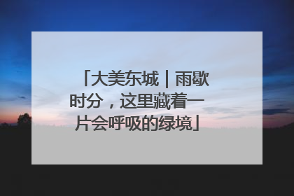 大美东城｜雨歇时分，这里藏着一片会呼吸的绿境