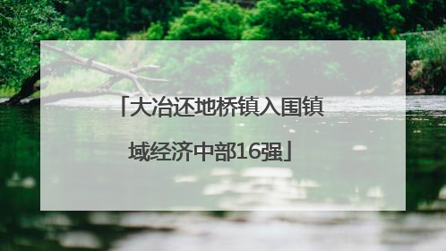 大冶还地桥镇入围镇域经济中部16强