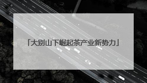 大别山下崛起茶产业新势力