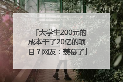 大学生200元的成本干了20亿的项目？网友：羡慕了