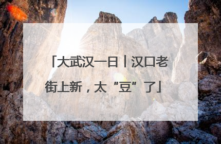 大武汉一日︱汉口老街上新，太“豆”了