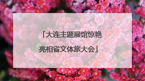 大连主题展馆惊艳亮相省文体旅大会