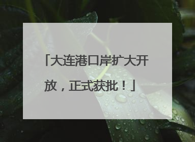 大连港口岸扩大开放，正式获批！