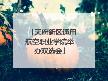 天府新区通用航空职业学院举办双选会
